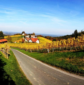 Weingut Schwarzl, Ratsch An Der Weinstraße, Österreich